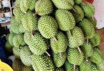 mua 5kg giảm 5%