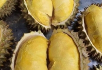 mua 1okg tặng 1 kg