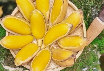 Chuối sáp 