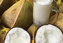Bảo quản dừa sáp đúng cách