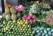 TRÁI CÂY SẠCH SÀI GÒN
