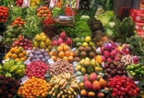 Vựa Trái Cây Miền Tây
