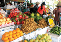 CHÚNG TÔI MANG ĐẾN LỢI ÍCH GÌ CHO BẠN?