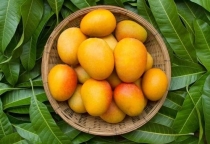 Trái cây miền Nam