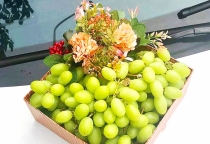  trái cây sạch và an toàn tại quận 12, TP. HCM