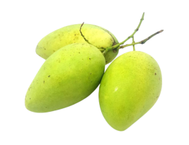 xoài cát hòa lộc 