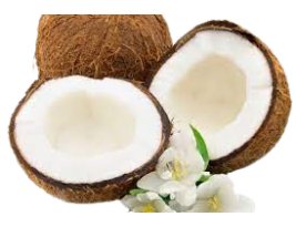 dừa sáp đặc sản trà  vinh