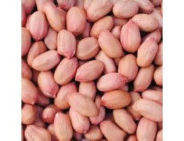 Đậu Phụng Hạt 