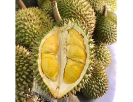 sầu riêng ri6
