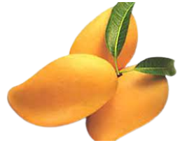 xoài keo