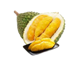 Sầu riêng Monthong và Dona 