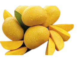 xoài tứ quý 