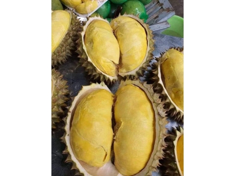 vựa sầu riêng 