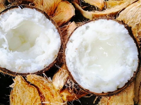 dừa sáp  đặc sản cầu kè trà vinh