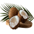 ĐẶC SẢN VÙNG MIỀN 