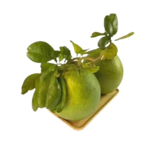 BƯỞI DA XANH 