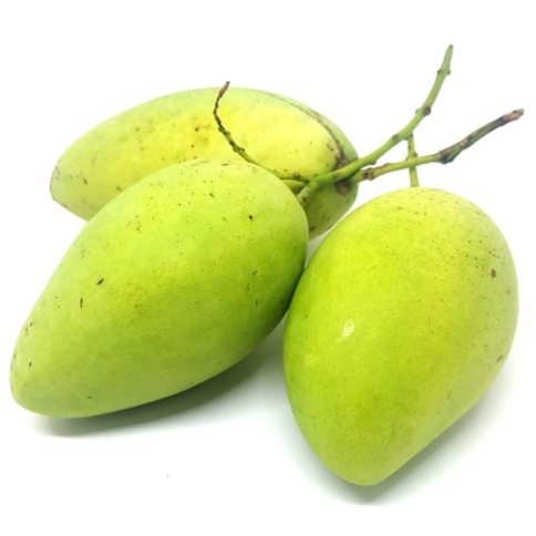 xoài cát hòa lộc 
