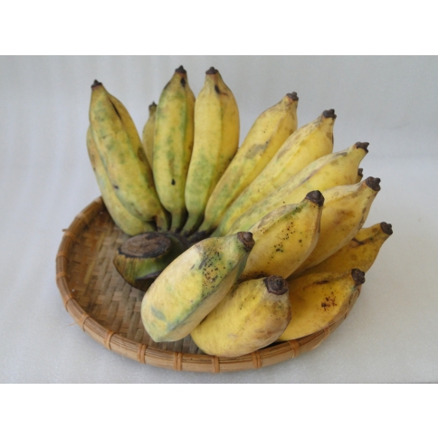Chuối sứ (Chuối hương)