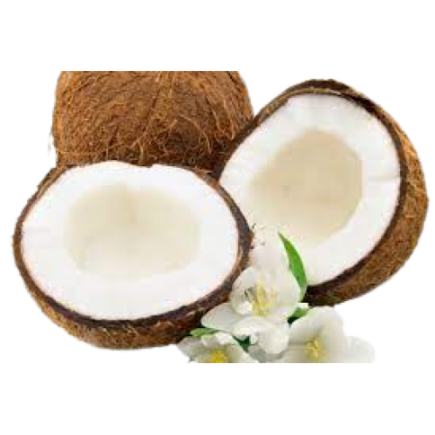 dừa sáp đặc sản trà  vinh