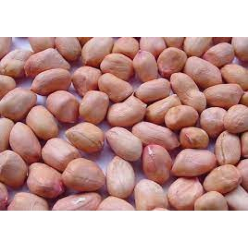 Đậu Phụng Hạt 