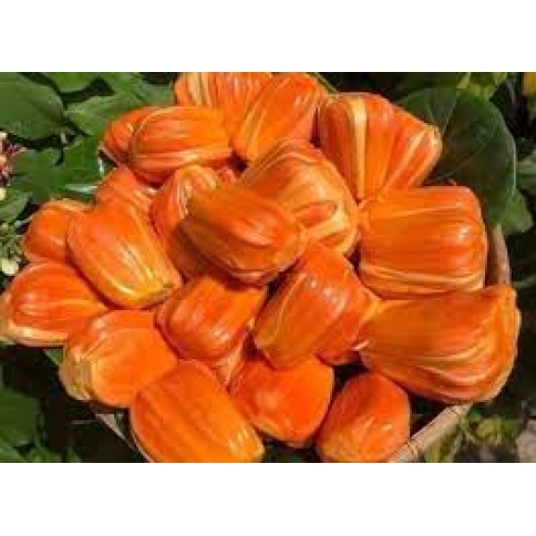 Mít ruột đỏ Mã Lai