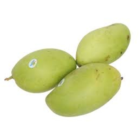 xoài cát hòa lộc 