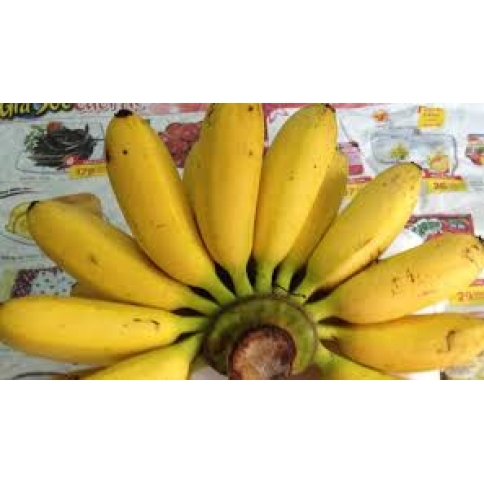 Chuối cau