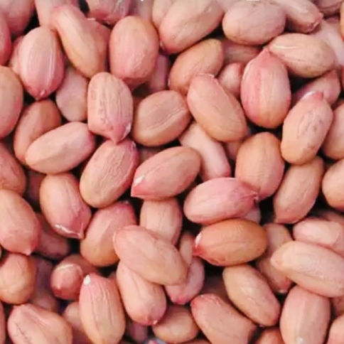 Đậu Phụng Hạt 