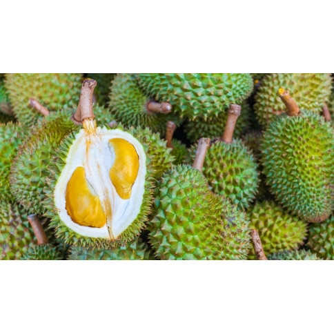 sầu riêng ri6
