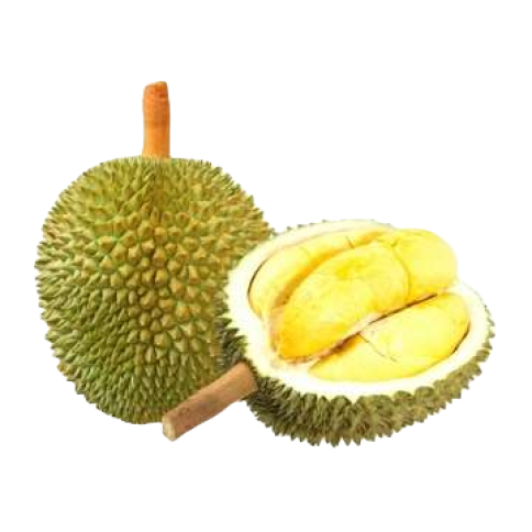 sầu riêng ri6