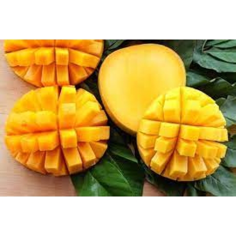 xoài tứ quý 