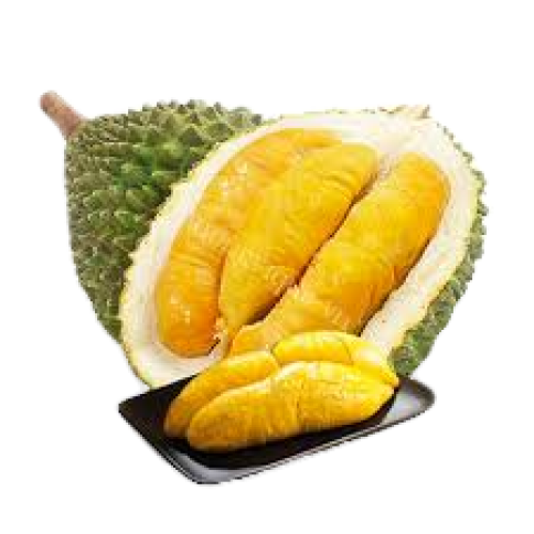 Sầu riêng Monthong và Dona 