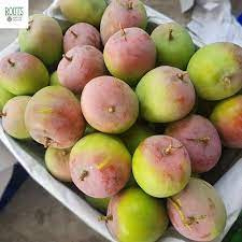 xoài tứ quý 
