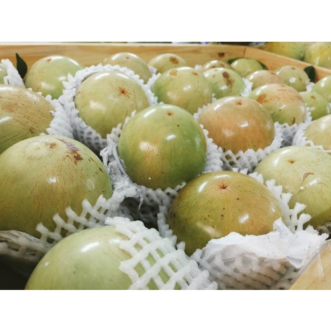 Vú sữa Lò Rèn Vĩnh Kim