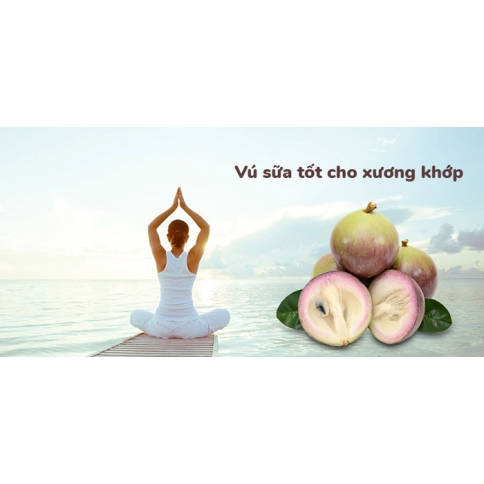 Vú sữa Lò Rèn Vĩnh Kim